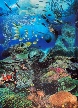 Ocean poster